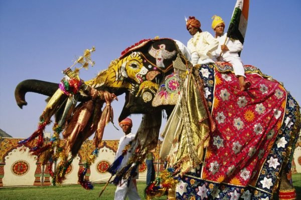 Elephant festival in jaipur rajasthani-tadka