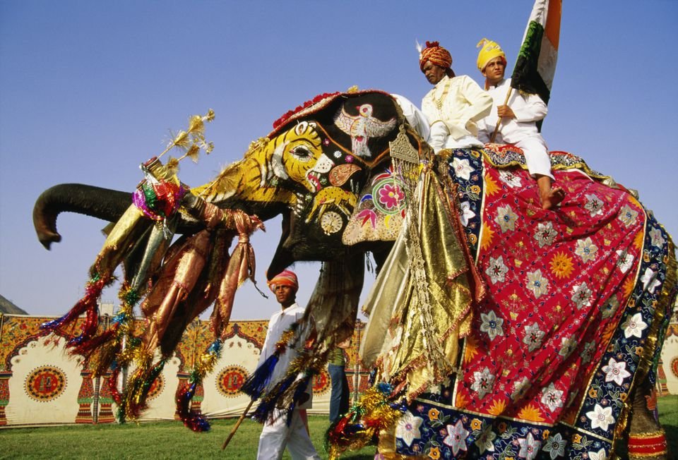 Elephant festival in jaipur rajasthani-tadka