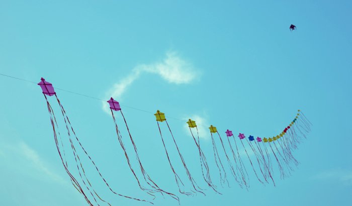 Jodhpur-International-Desert-Kite-Festival_JOdhpur