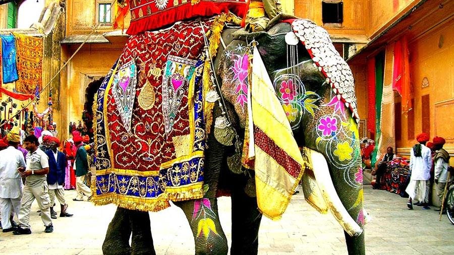 Elephant festival in Jaipur
