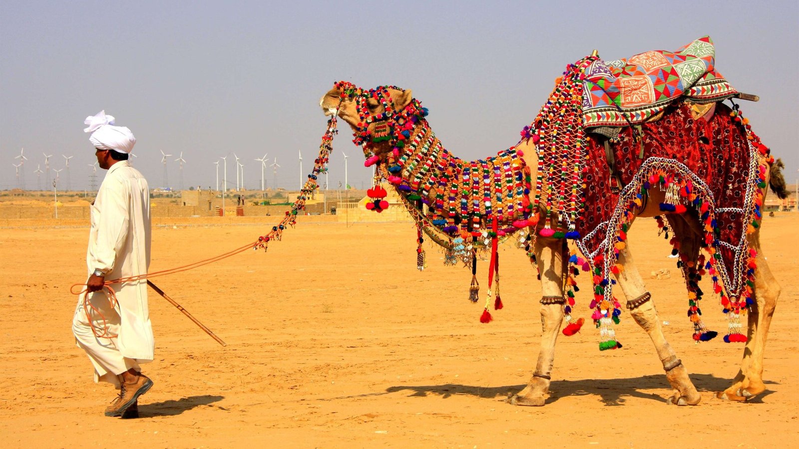 Desert celebration in Jaisalmer